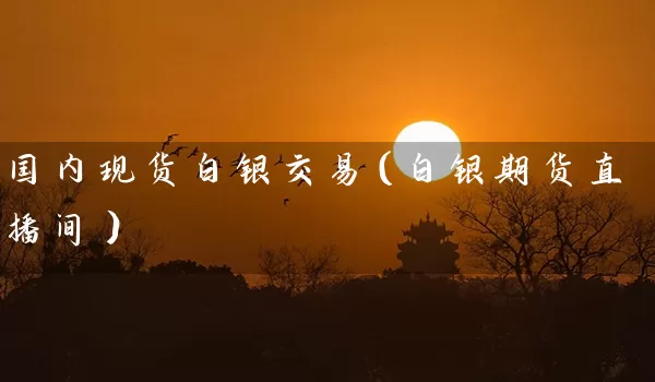 国内现货白银交易（白银期货直播间）_https://www.tjbxgbcj.com_内盘期货_第1张