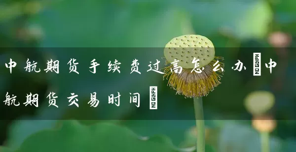 中航期货手续费过高怎么办(中航期货交易时间)_https://www.tjbxgbcj.com_螺纹钢期货_第1张