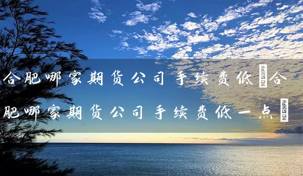 合肥哪家期货公司手续费低(合肥哪家期货公司手续费低一点)_https://www.tjbxgbcj.com_铁矿石期货_第1张