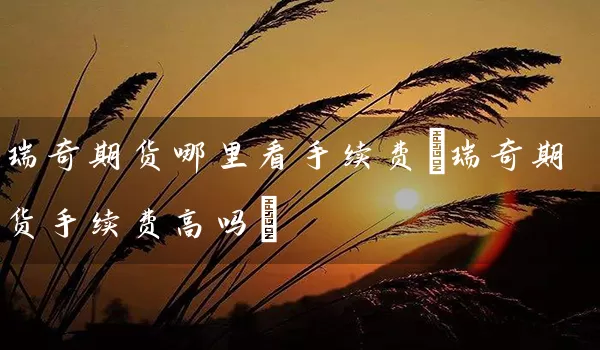 瑞奇期货哪里看手续费(瑞奇期货手续费高吗)_https://www.tjbxgbcj.com_原油期货_第1张