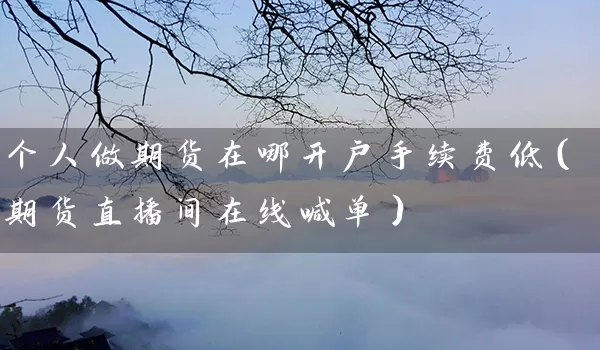 个人做期货在哪开户手续费低（期货直播间在线喊单）_https://www.tjbxgbcj.com_原油期货_第1张