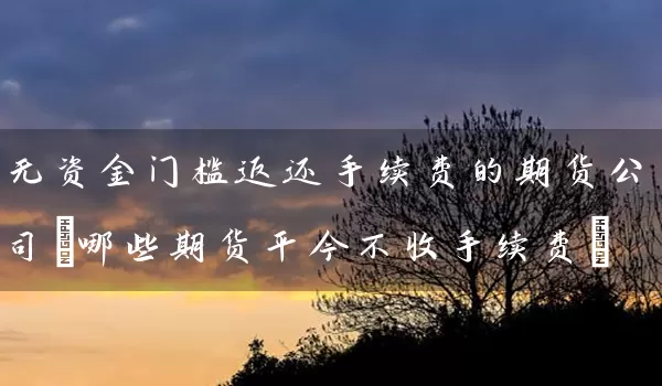 无资金门槛返还手续费的期货公司(哪些期货平今不收手续费)_https://www.tjbxgbcj.com_铁矿石期货_第1张